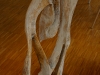 Sindre, Douglasie -2