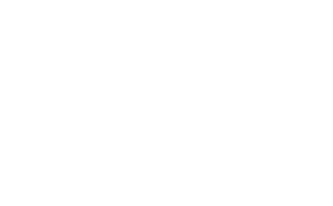 Partner_mega