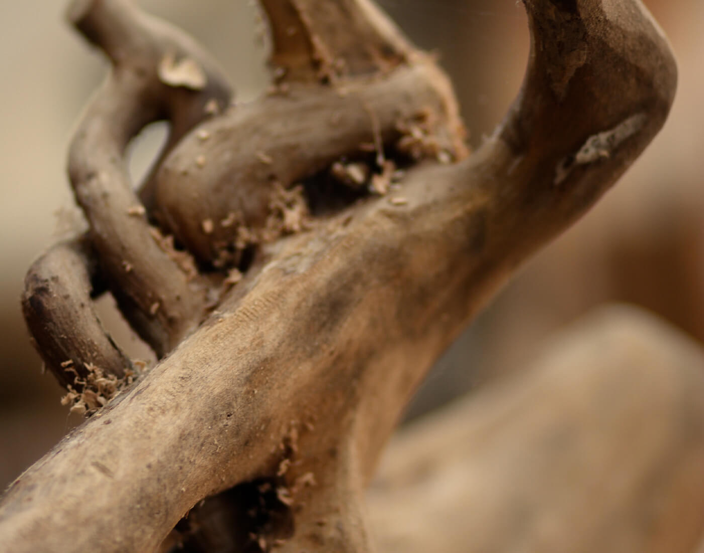 Skulpturen aus Holz vom Bildhauer 1 (1)